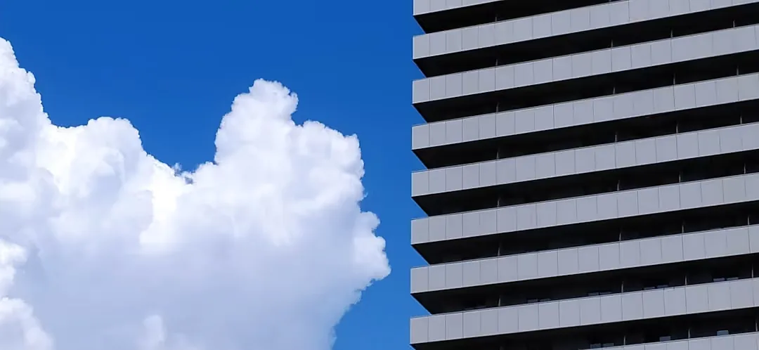How can startups utilize cloud based solutions to achieve success?