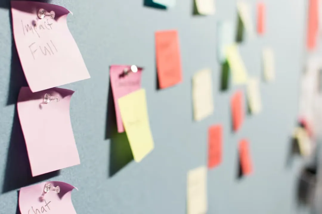 Ensuring the Healthy Growth of a Startup Business Through Efficient Team Management