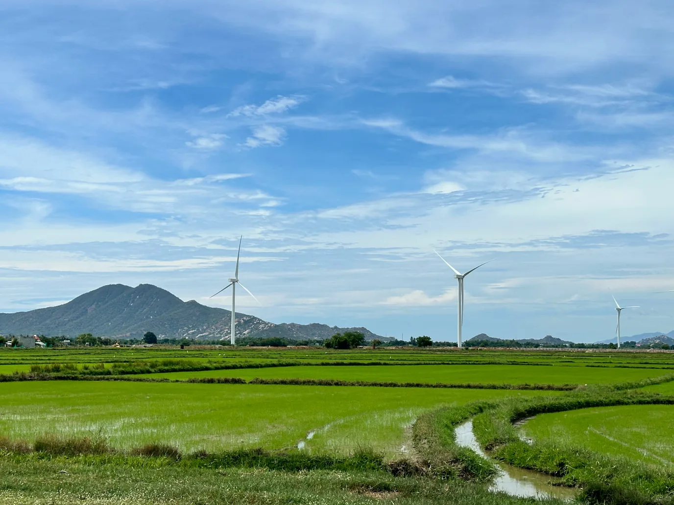 The significance of AI in reshaping energy and environmental services