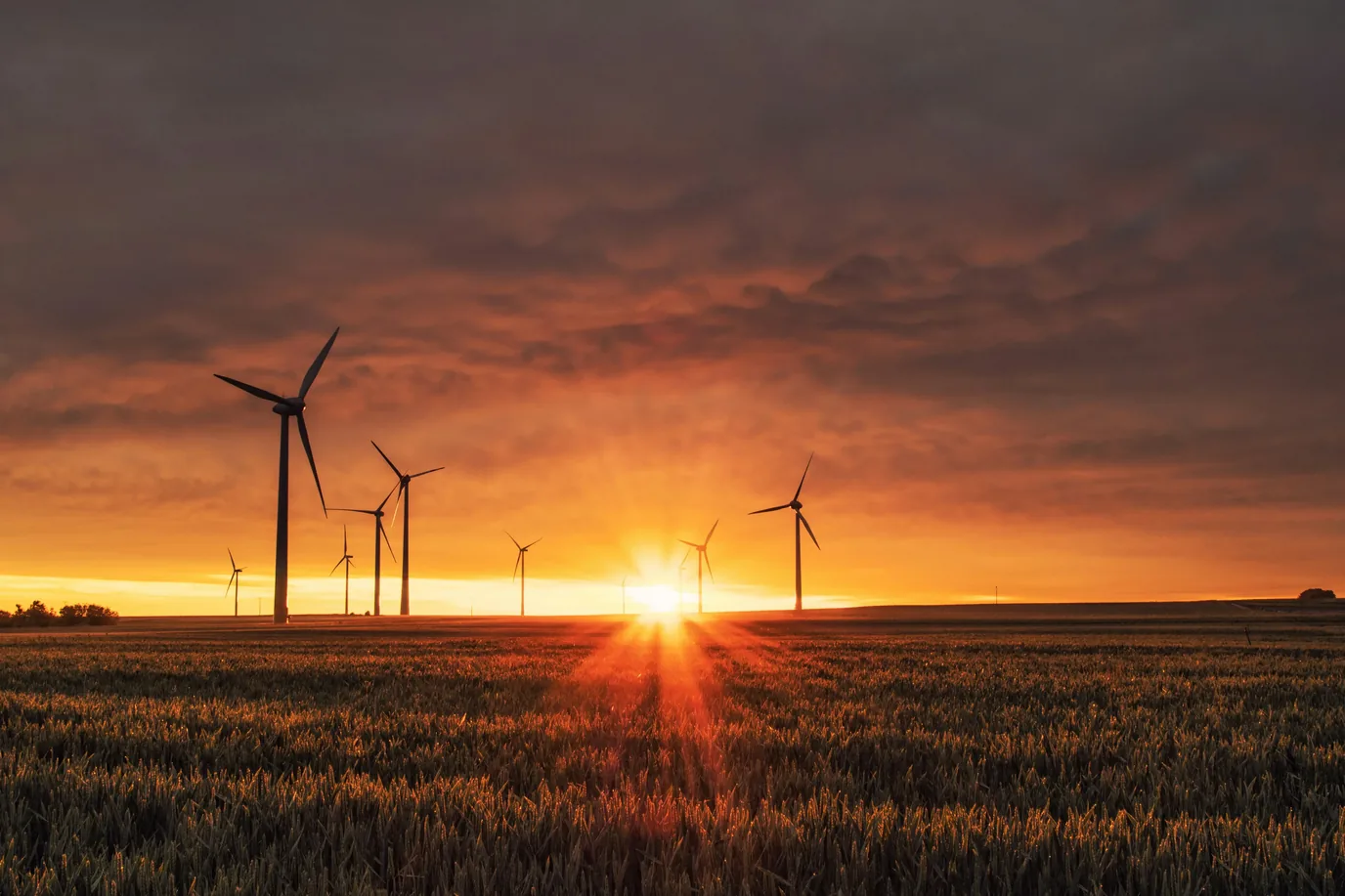 How does the evolution of technology influence the trajectory of energy and environmental services, in the future?