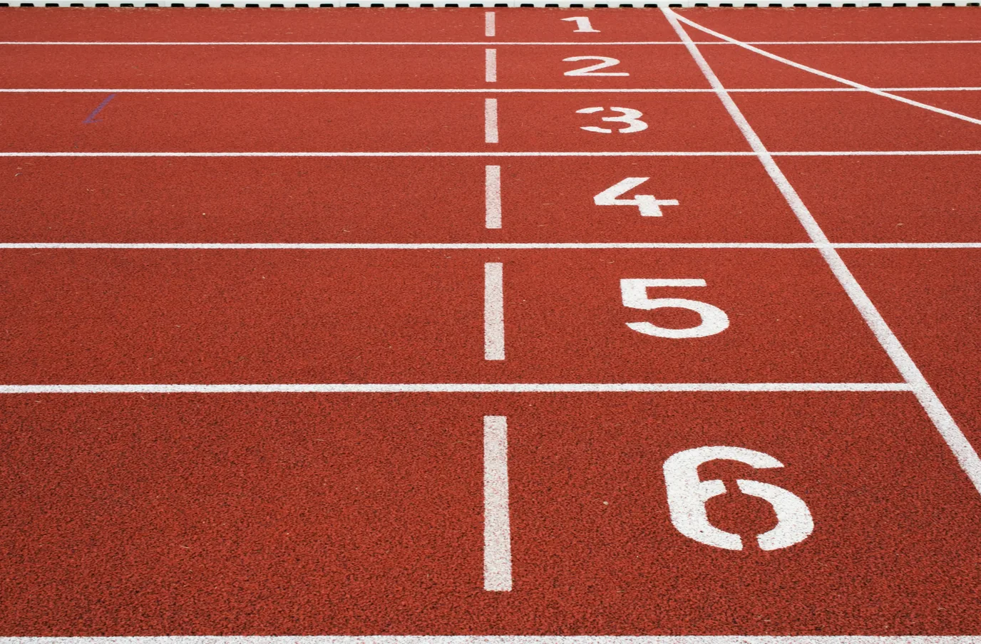 How can updating IT systems improve efficiency, in the sports and fitness industry?