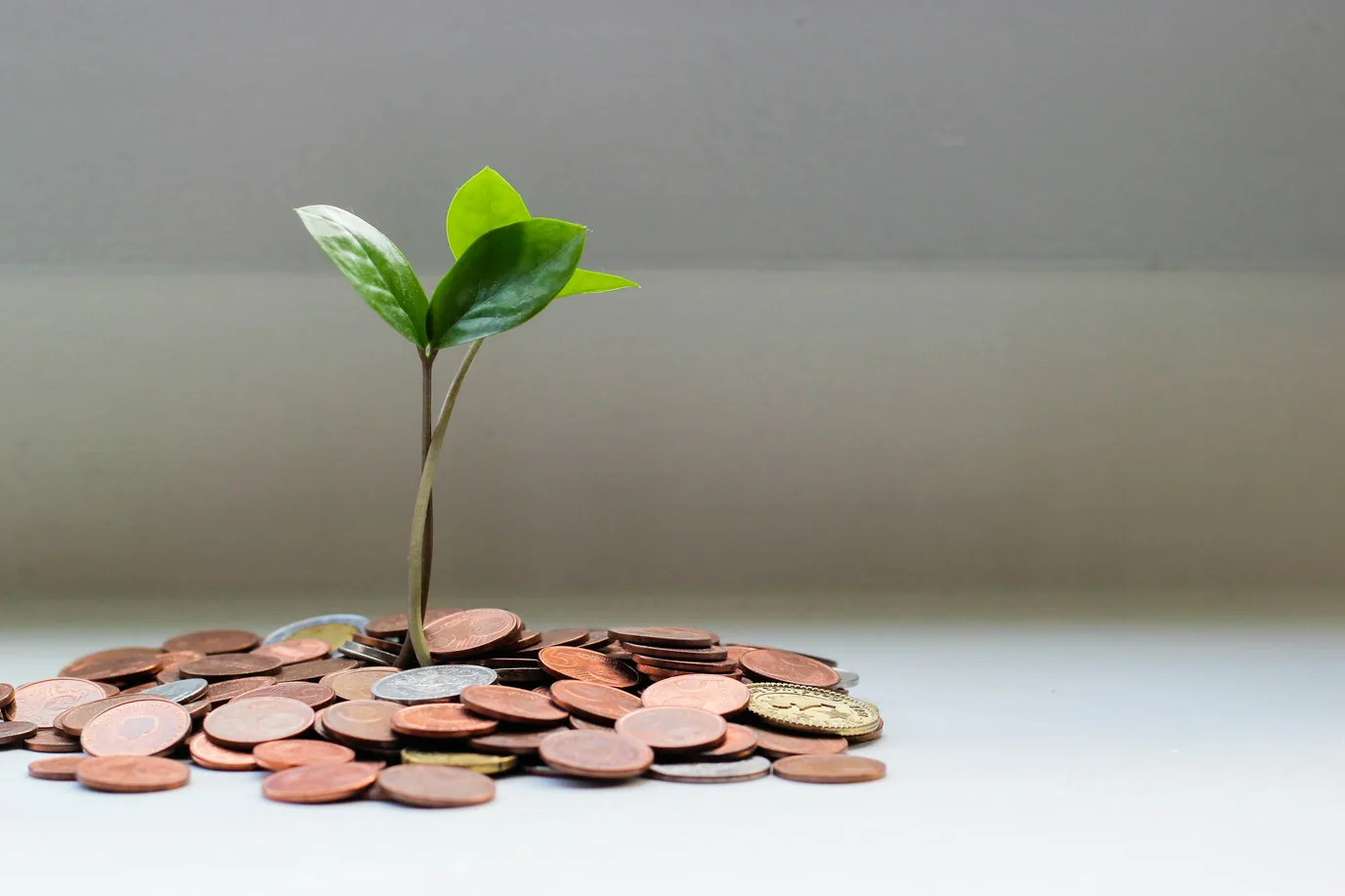 Wie können Finanzunternehmen Technologie nutzen, um Wachstum zu erzielen?