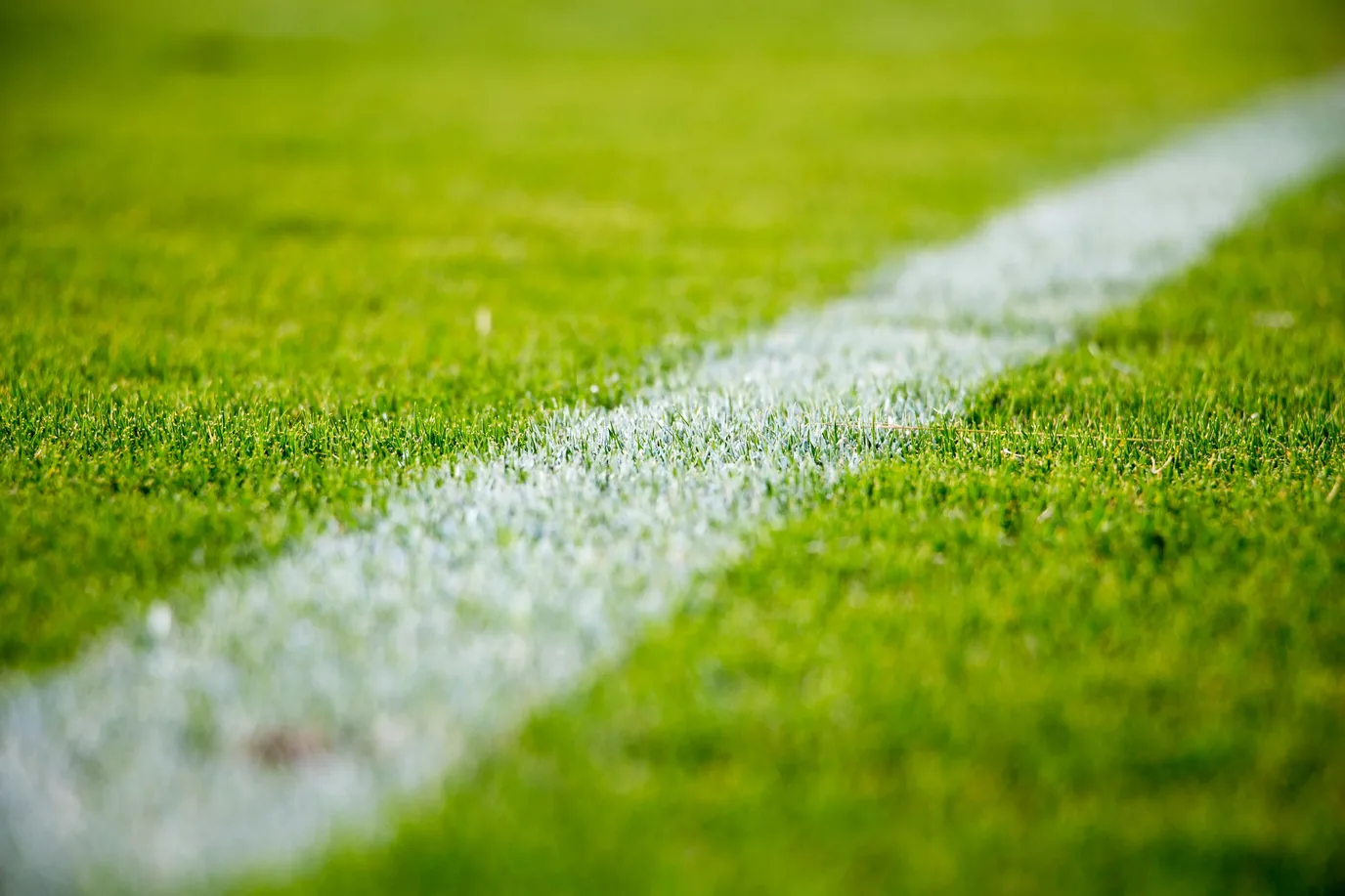 How might updating IT systems improve the management of sports and fitness activities?